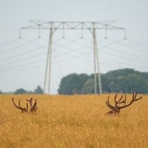 Crédit : Vincent Vignon
